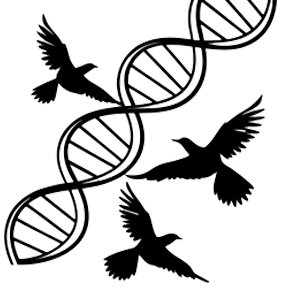 'Biotecmol'