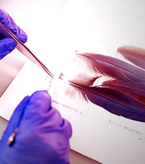'Biotecmol'